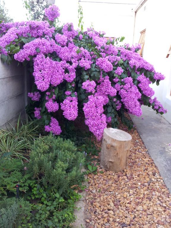 Wheatlands Lodge Bredasdorp Bagian luar foto